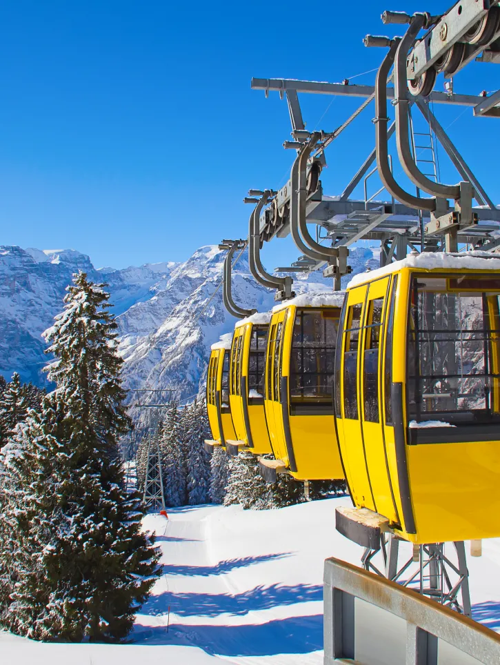 Ski Holidays